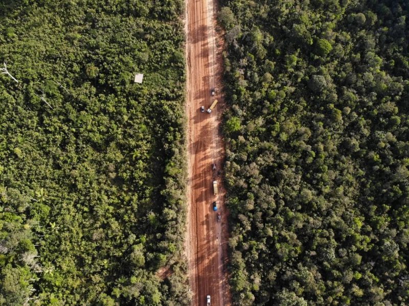 Justiça suspende licitações para obras na BR-319 por risco ambiental no Amazonas