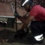VÍDEO: Sucuri de quase 2 metros é encontrada em frente à casa em Manaus