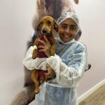 Páscoa & Pets: perigos do chocolate para cães e gatos