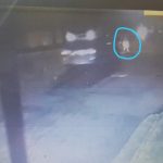 Família busca motorista que atropelou mulher em Manaus