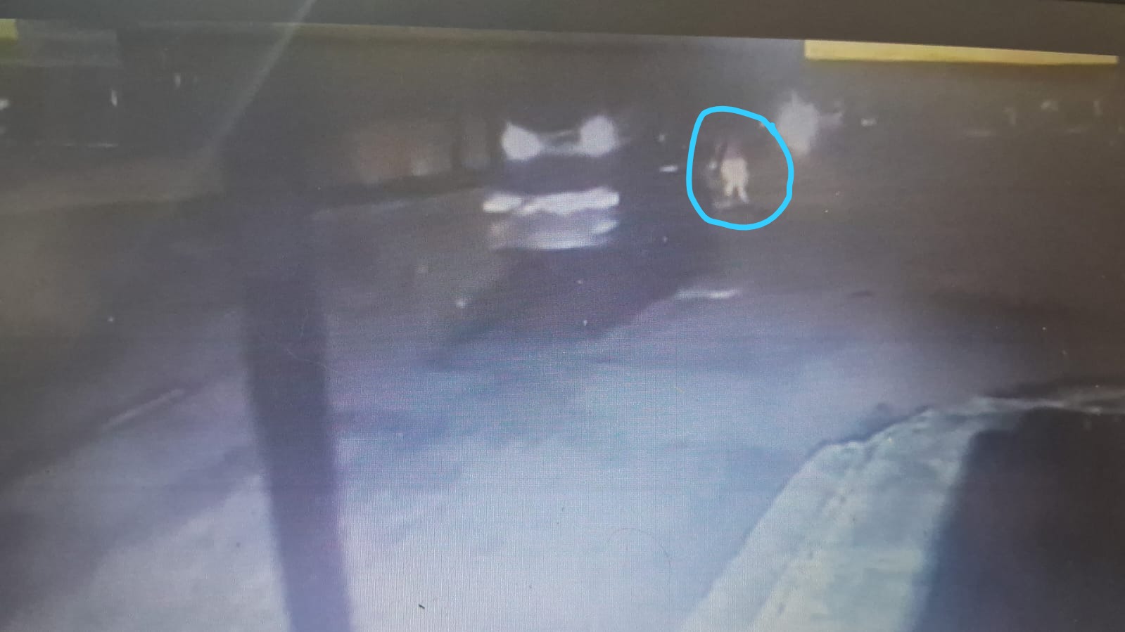 Família busca motorista que atropelou mulher em Manaus