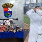 ‘Coelhinho’ do Comando Vermelho é apreendido durante distribuição de ovos de Páscoa