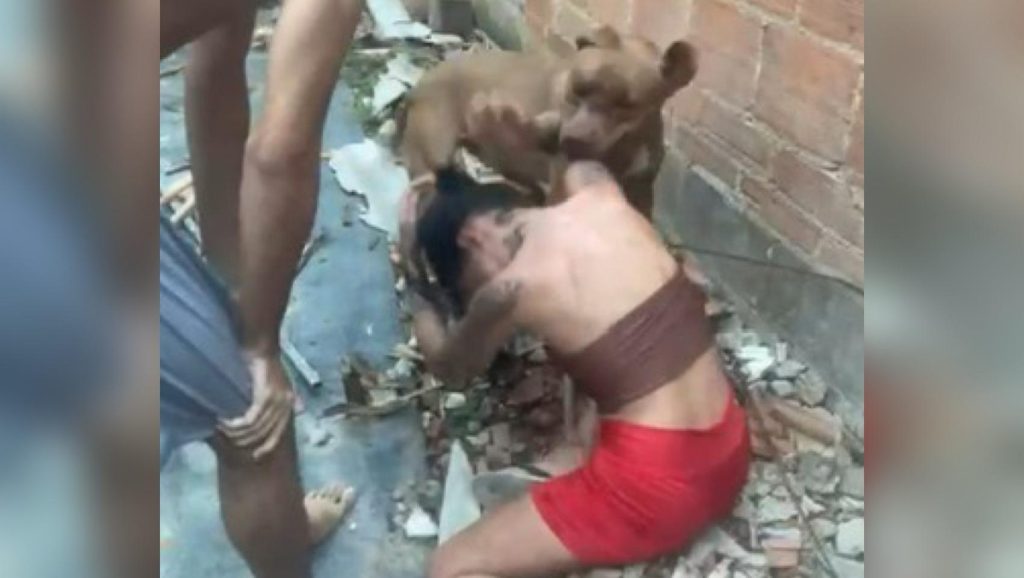 Mãe filma e incentiva pitbull a atacar a própria filha durante briga familiar