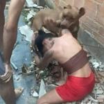 CHOCANTE: Vídeo mostra mãe estimulando ataque de pitbull contra a própria filha