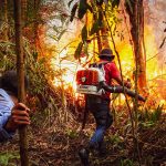 Carolina Caramurú leva Amazônia à Europa e lança projeto social