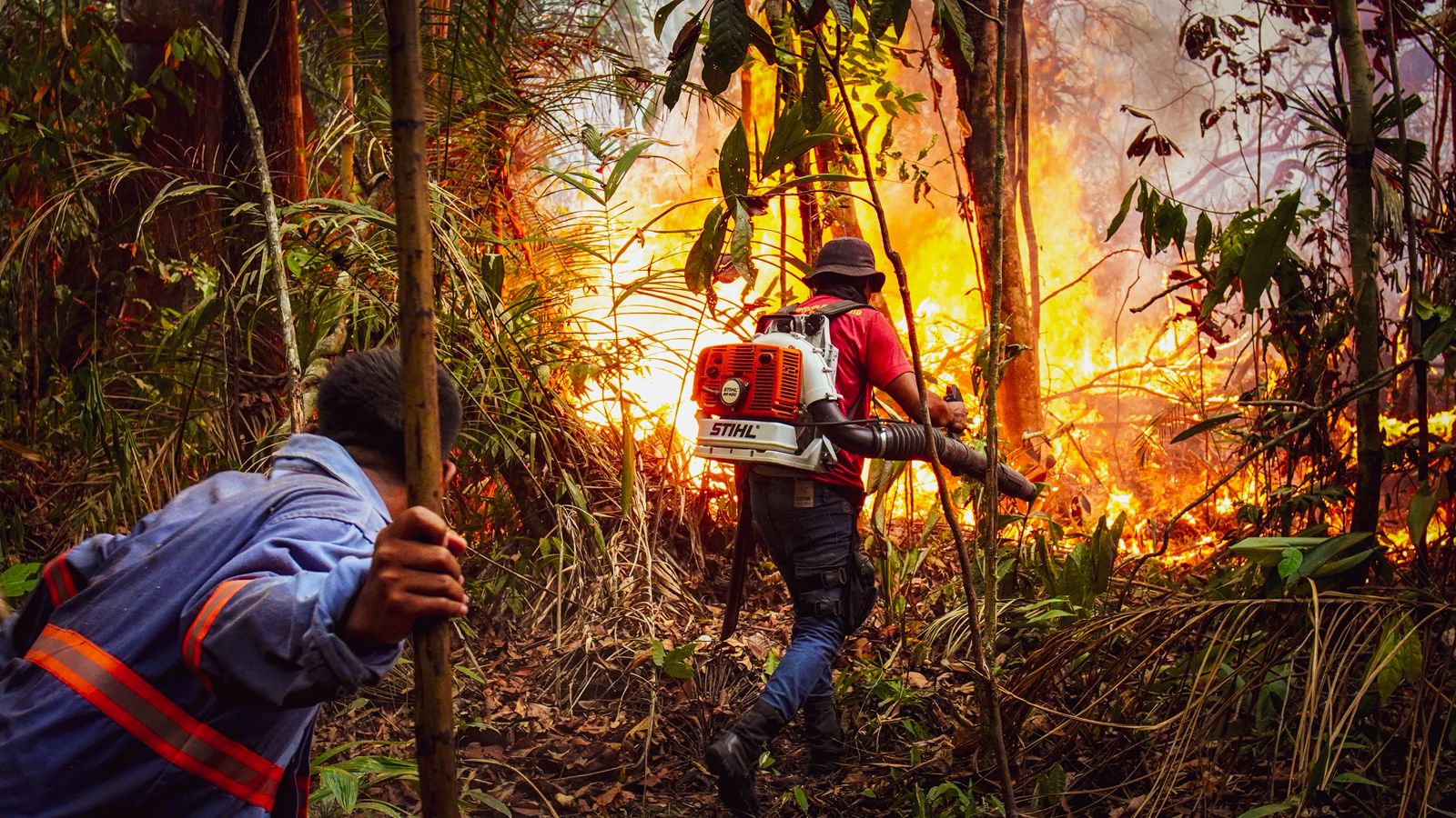 Carolina Caramurú leva Amazônia à Europa e lança projeto social