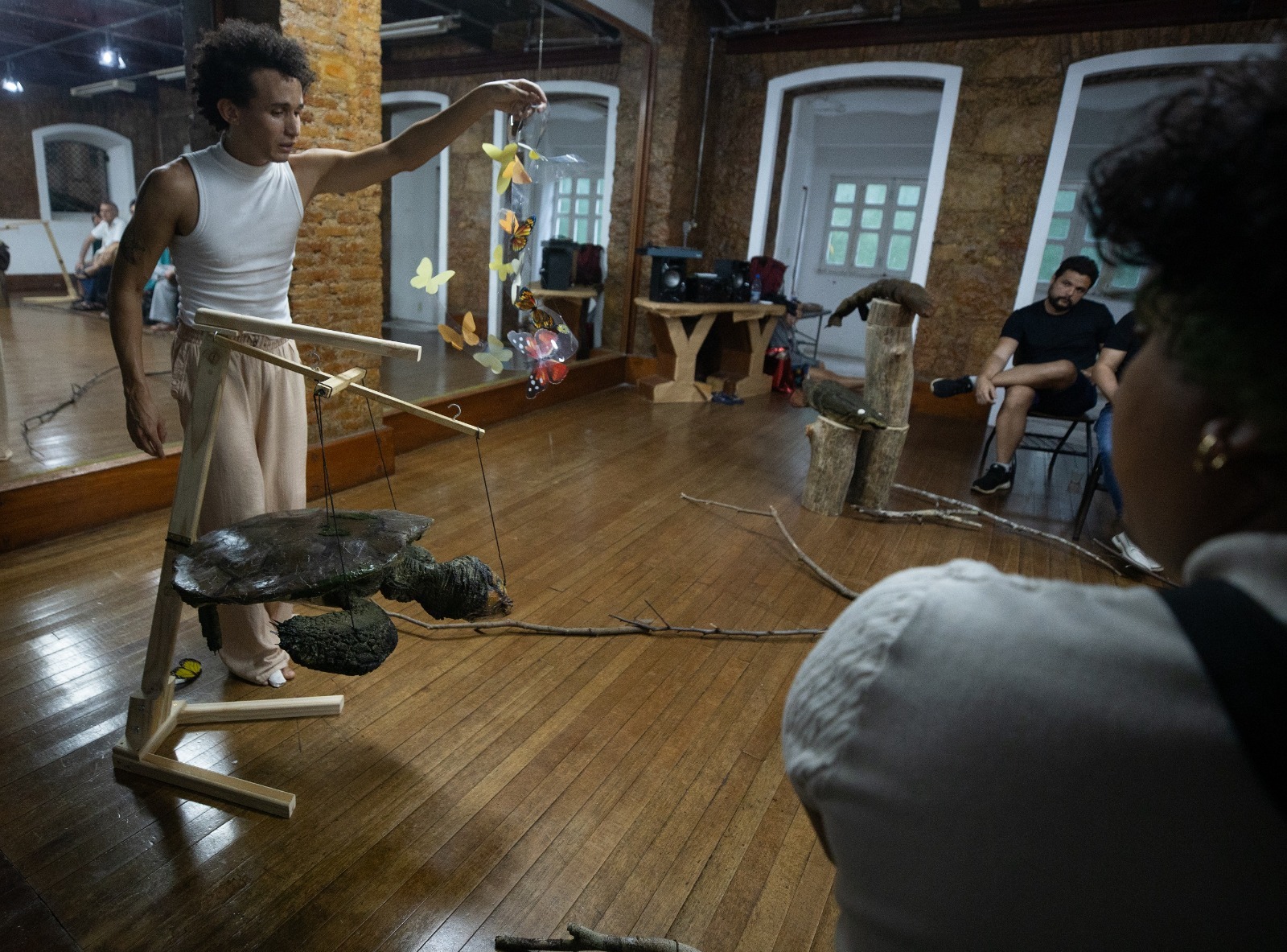 Arte e ciência unidas no espetáculo ‘Borboletas bebem lágrimas de tartarugas’