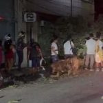 VÍDEO: Caminhão enrosca em fiação, derruba árvore e deixa Centro de Manaus sem energia