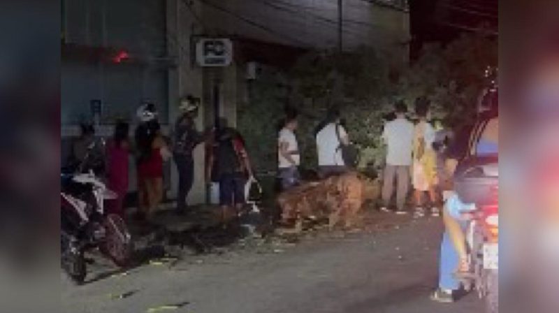 VÍDEO: Caminhão enrosca em fiação, derruba árvore e deixa Centro de Manaus sem energia