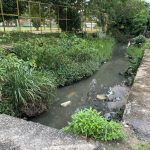 Renaturalização de igarapés é alternativa contra alagamentos em Manaus