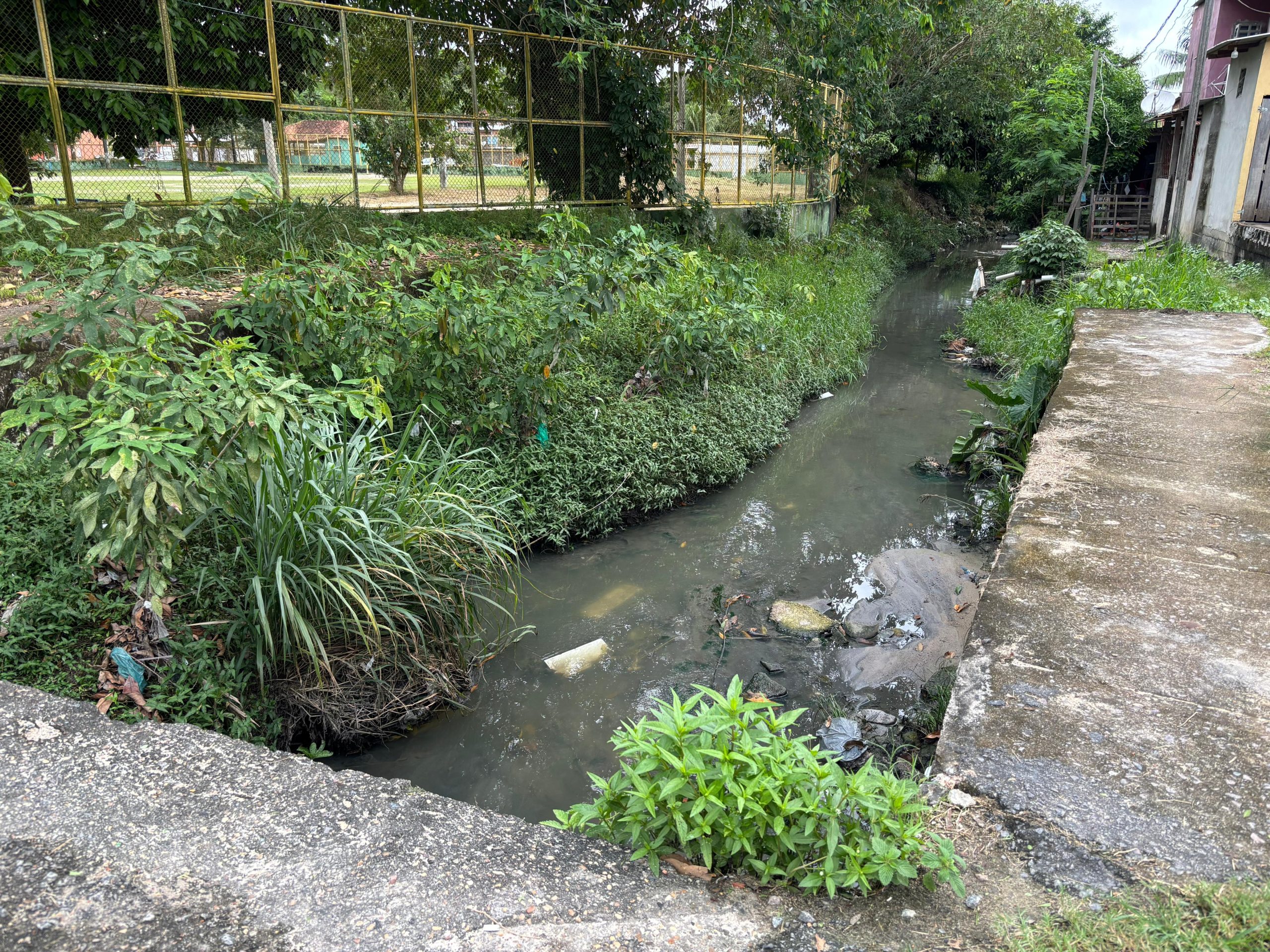 Renaturalização de igarapés é alternativa contra alagamentos em Manaus