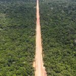 Eduardo Braga critica ação contra BR-319 e reforça defesa da obra