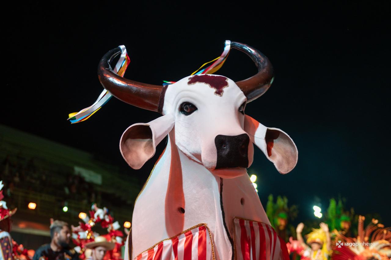 Boi-Bumbá Corre Campo celebra 84 anos de tradição em Manaus