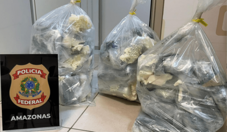 Passageira é presa com mais de 36 kg de ‘supermaconha’ no aeroporto de Manaus
