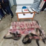 Caçadores são presos com animais mortos e armas no interior do AM