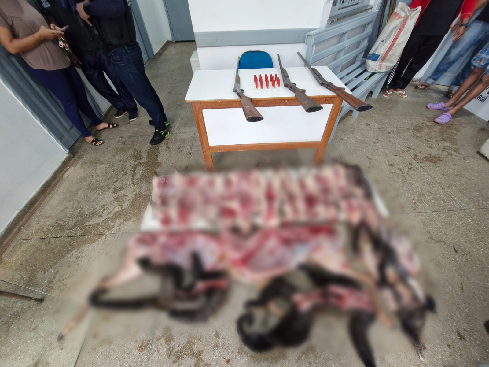Caçadores são presos com animais mortos e armas no interior do AM