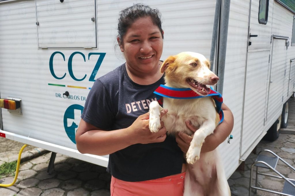 Centro de Zoonoses abre vagas para castração gratuita de cães e gatos em Manaus