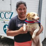 Centro de Zoonoses abre vagas para castração gratuita de cães e gatos em Manaus; veja como agendar