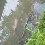 Corpo é encontrado boiando em igarapé da Compensa em Manaus