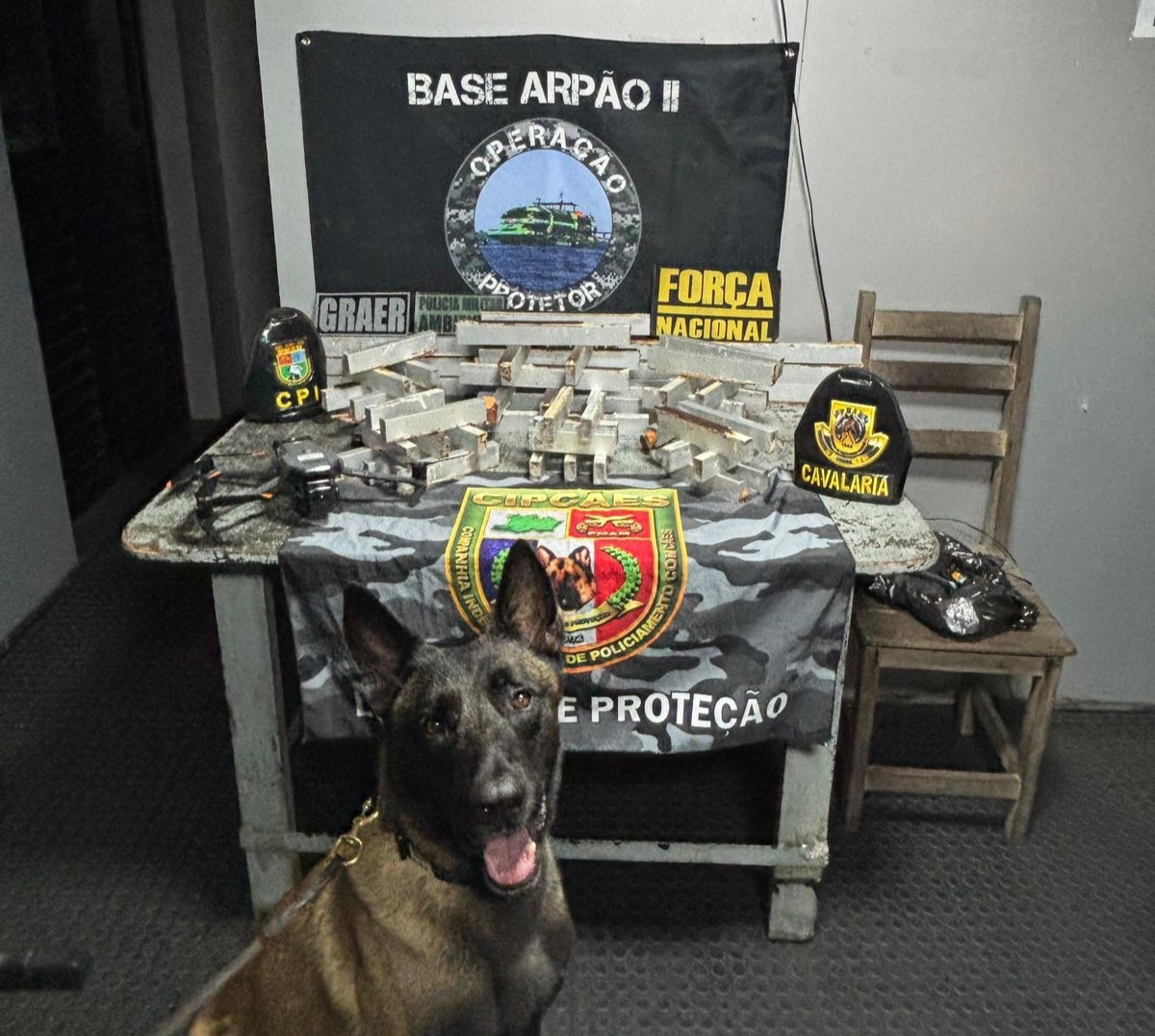 Cão policial encontra cocaína escondida dentro de cadeiras de madeira no Amazonas