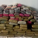 Apreensão de 300 kg de drogas no AM causa prejuízo de R$ 6,8 milhões ao crime