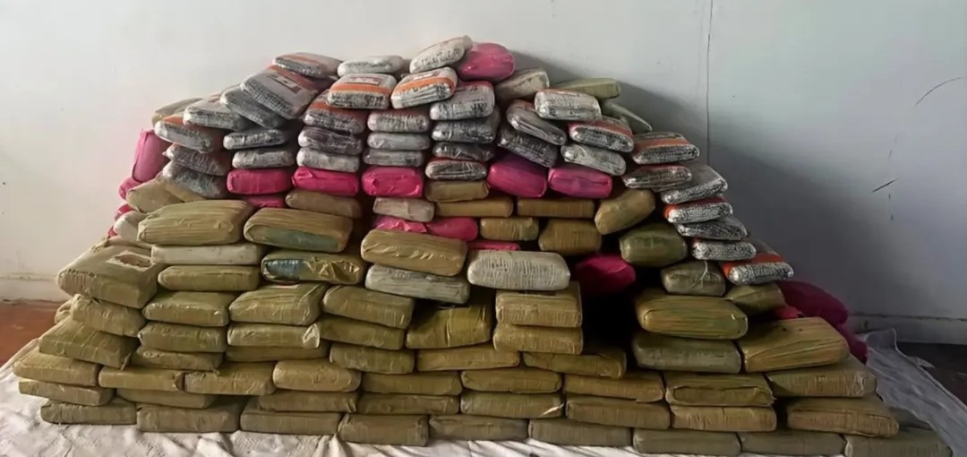 Apreensão de 300 kg de drogas no AM causa prejuízo de R$ 6,8 milhões ao crime