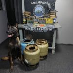Cão farejador encontra quase 30 kg de maconha em botijões de gás no AM; droga é avaliada em R$ 590 mil