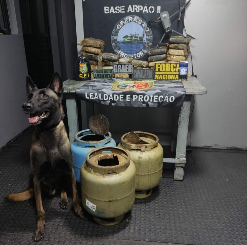 Cão farejador encontra quase 30 kg de maconha em botijões de gás no AM; droga é avaliada em R$ 590 mil