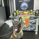 Mais de 14 kg de drogas escondidos em bananas e caixas de equipamentos são apreendidos em Coari