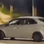 Vídeo mostra motorista roubando casinha de cães comunitários na avenida das Torres em Manaus