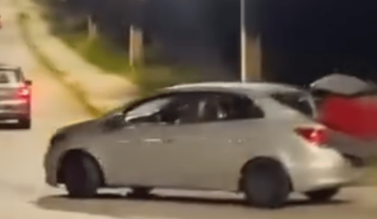 Vídeo mostra motorista roubando casinha de cães comunitários na avenida das Torres em Manaus