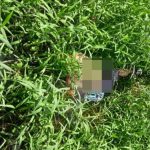 VÍDEO: Homem é encontrado morto em área de mata em Manacapuru