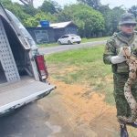 Jiboia é resgatada em jardim de escola em Manaus