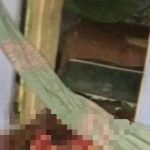 Homem mata casal e criança de 7 anos após não aceitar fim de relacionamento no AM