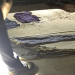 Ossada humana é encontrada em área de mata no Jorge Teixeira em Manaus