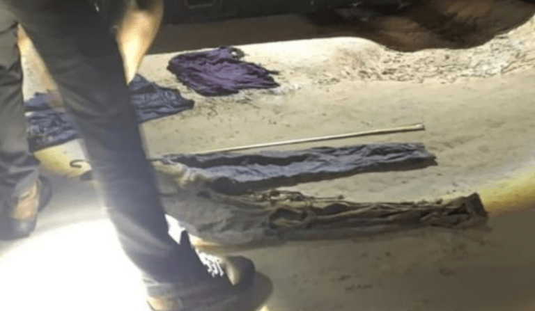 Ossada humana é encontrada em área de mata no Jorge Teixeira em Manaus