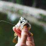 Lago em área de reserva extrativista em Tefé alvo de investigação por pesca predatória