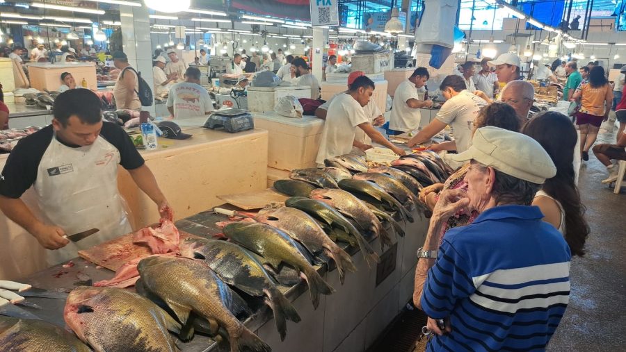 Preço do peixe sobe, mas procura cresce na Semana Santa em Manaus