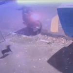 VÍDEO: PM de folga é baleado por criminosos enquanto passeava com cachorro