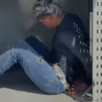 Criminosos são presos ao fazer idoso refém durante assalto a floricultura em Manaus