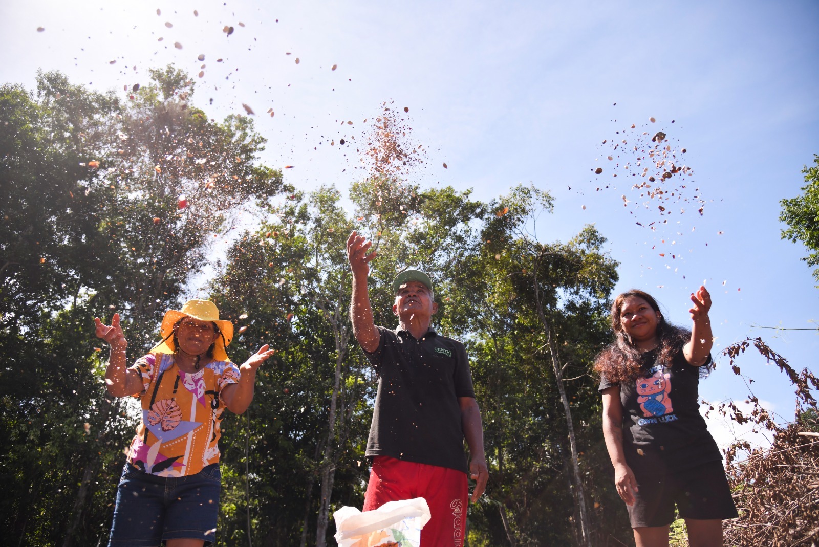 Muvuca de sementes impulsiona reflorestamento no Amazonas