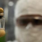 Anvisa autoriza produção nacional da vacina contra a chikungunya