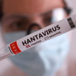 OMS alerta para surto de hantavírus após mortes em cruzeiro