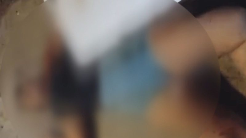 VÍDEO: Briga por suposta traição termina com mulher morta a facada em Manaus