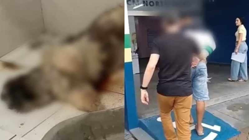 Homem mata cachorro da ex-mulher por não aceitar o fim do relacionamento em Manaus
