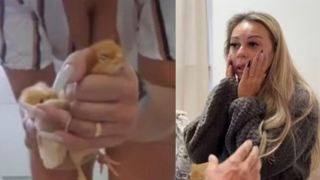 animais-tortura-presa