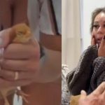 Empresária é presa suspeita de torturar e matar animais para vender vídeos na internet