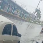 Criminosos em motocicletas invadem floricultura e aterrorizam clientes em Manaus