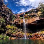 Criança de 8 anos é atacada por onça na Chapada dos Veadeiros