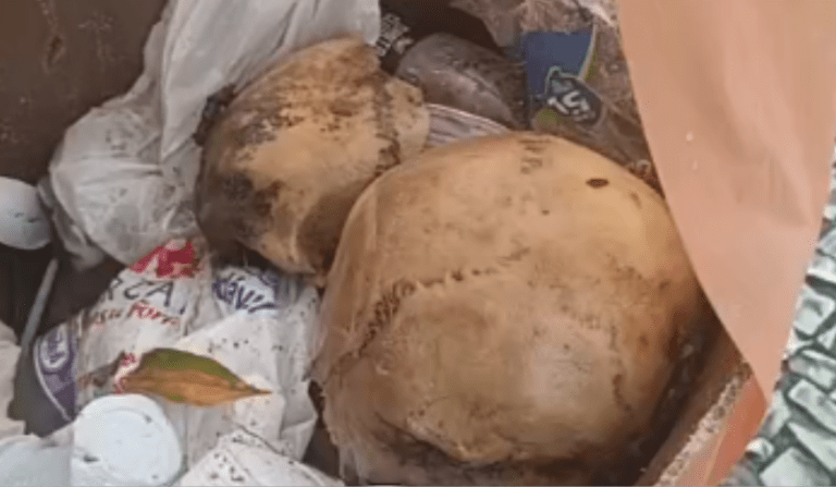 Crânio humano é encontrado na praça Tenreiro Aranha no Centro de Manaus